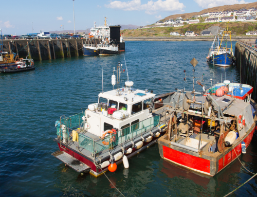 The Fishmongers’ Company joins Fisheries Innovation Scotland