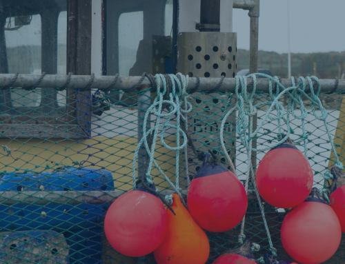 New Project – Net Zero Fishing Vessels
