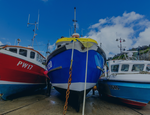FIS opens its doors to the UK seafood community
